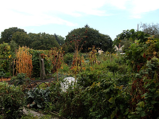 25Garden1