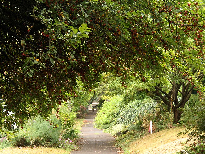 25Walk1