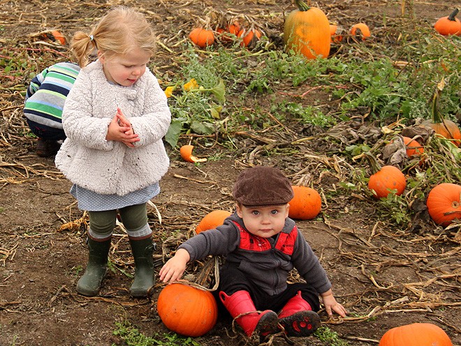 12Pumpkins18