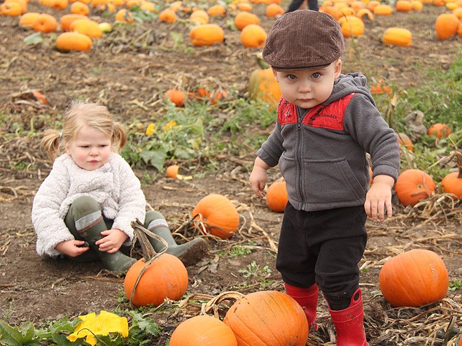12Pumpkins21
