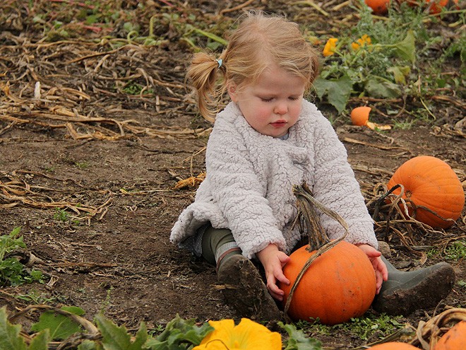 12Pumpkins22