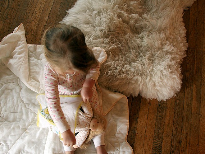 20DollyBed1