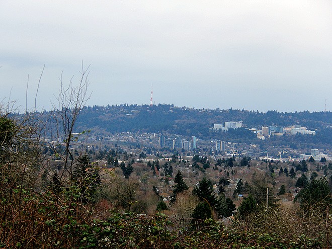 8Park1