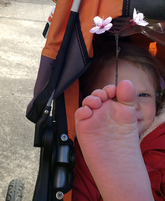 9FootFlower1