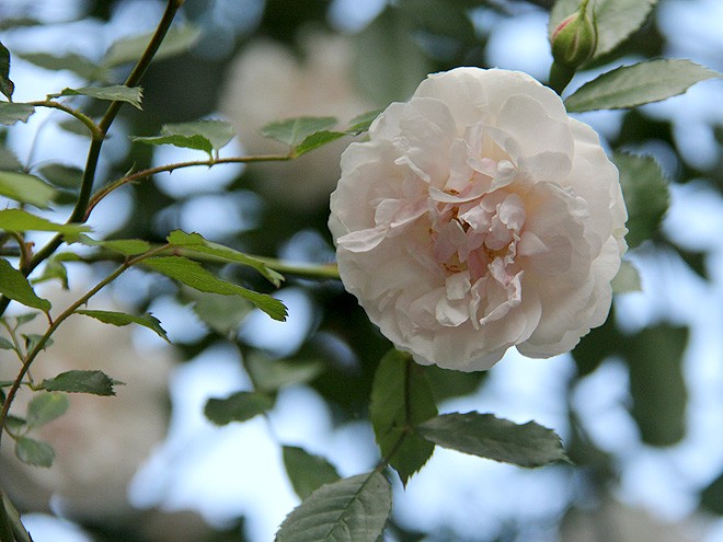 23Yard3