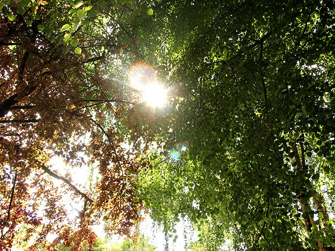 25Sun1