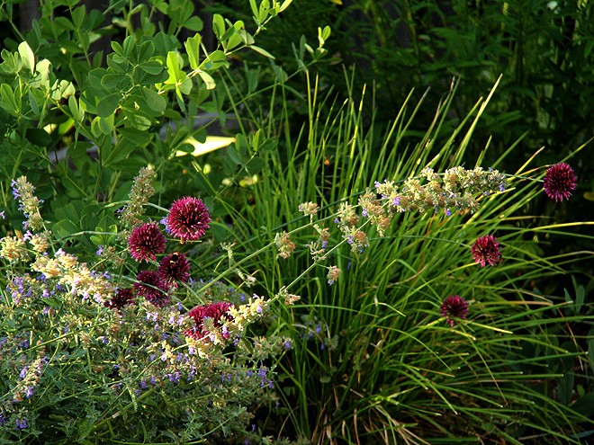 5Garden1