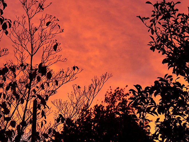 28Sunrise3