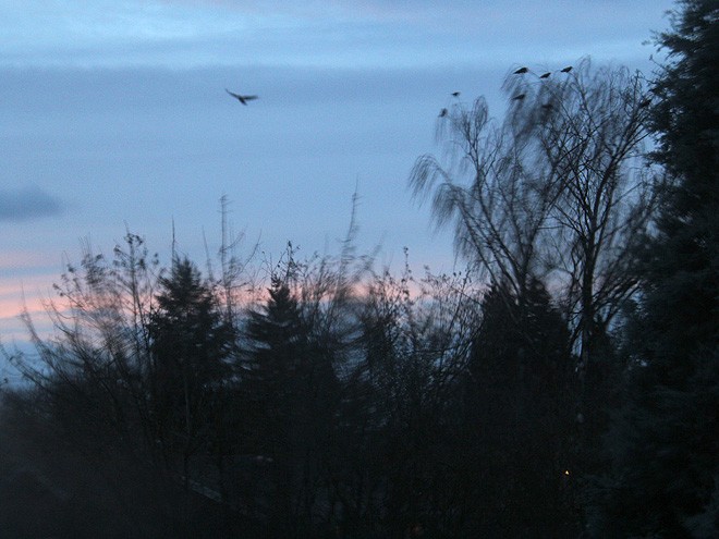 21Morning2
