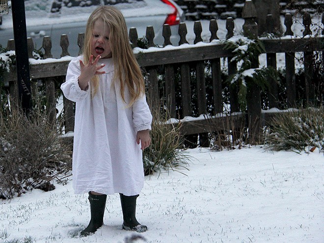 3SnowDay11 3SnowDay11
