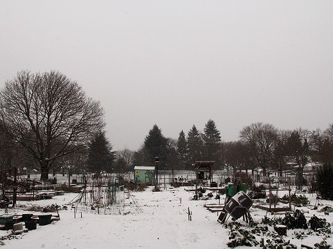 3SnowDay16 3SnowDay16