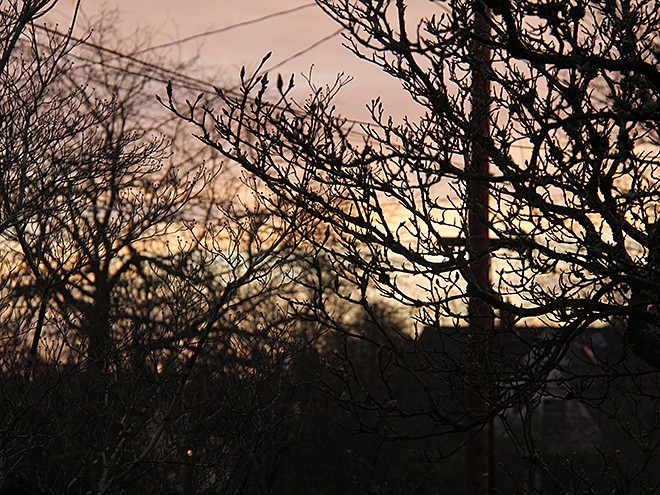 5Morning1