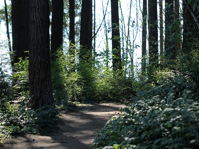 30Woods22 30Woods22