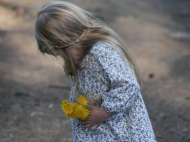 30Woods29 30Woods29