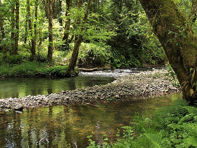9Creek1