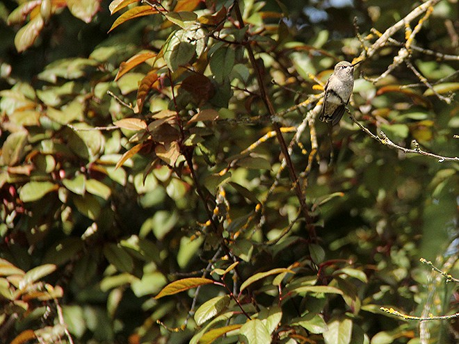 19Garden16