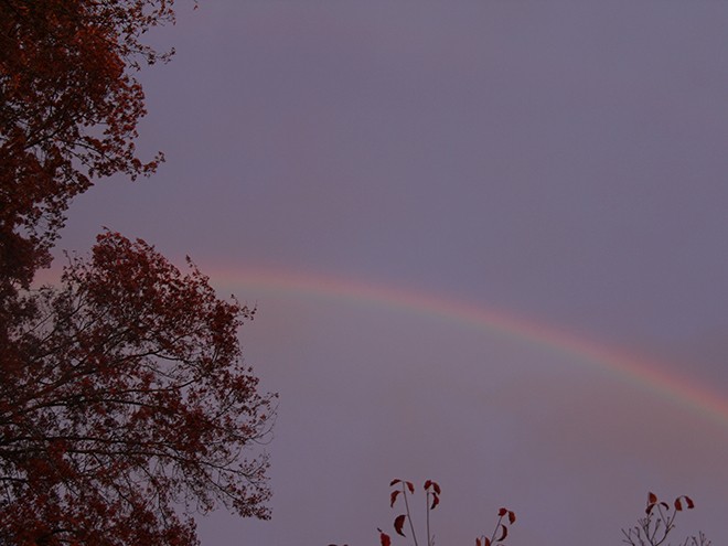 24RAinbow1