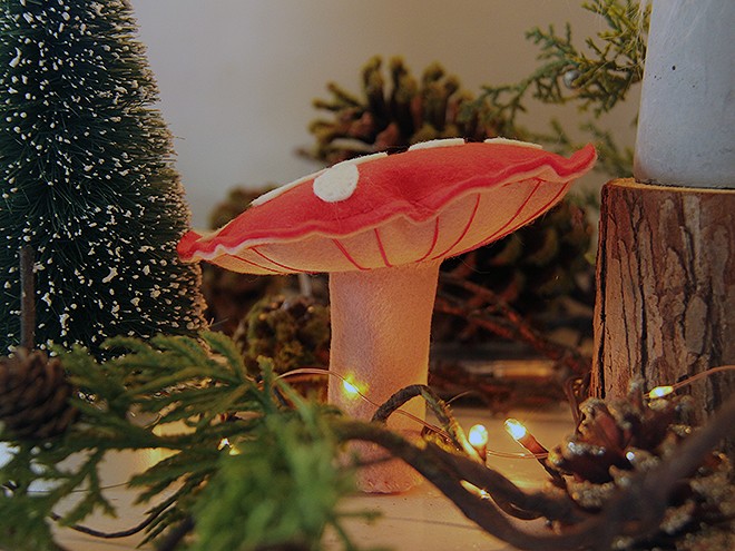 7Mushroom1 7Mushroom1