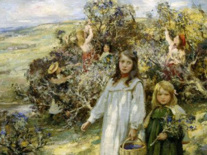 PickingBlackberries1