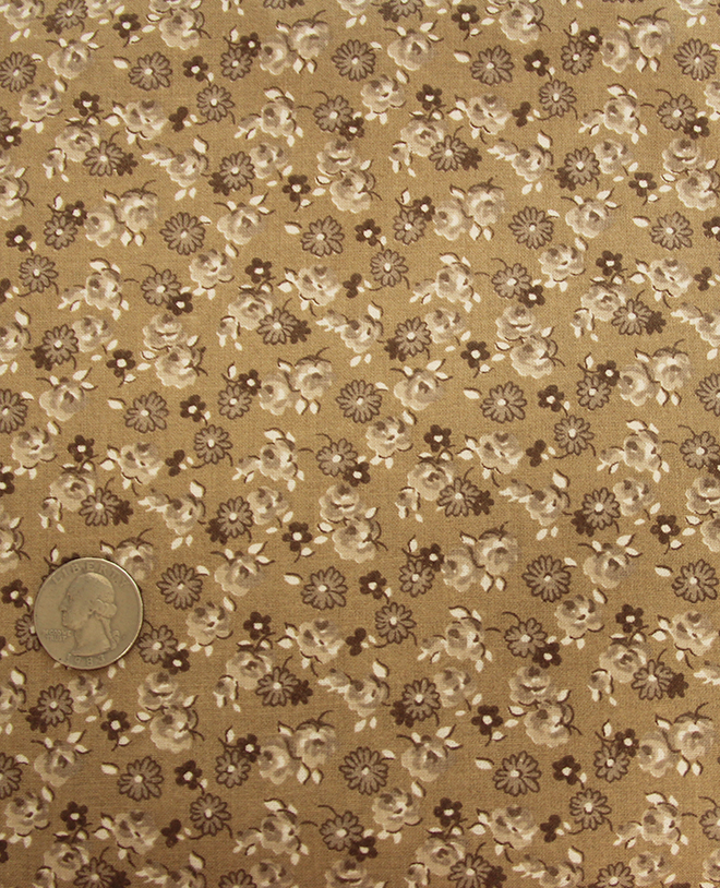 PaleBrownRoseDaisy