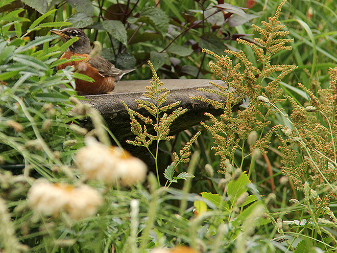 6Garden2 6Garden2
