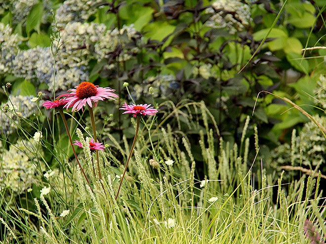 6Garden2 6Garden2
