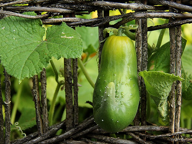 6Garden2 6Garden2