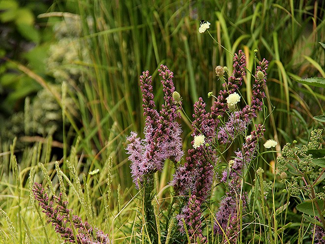 6Garden2 6Garden2