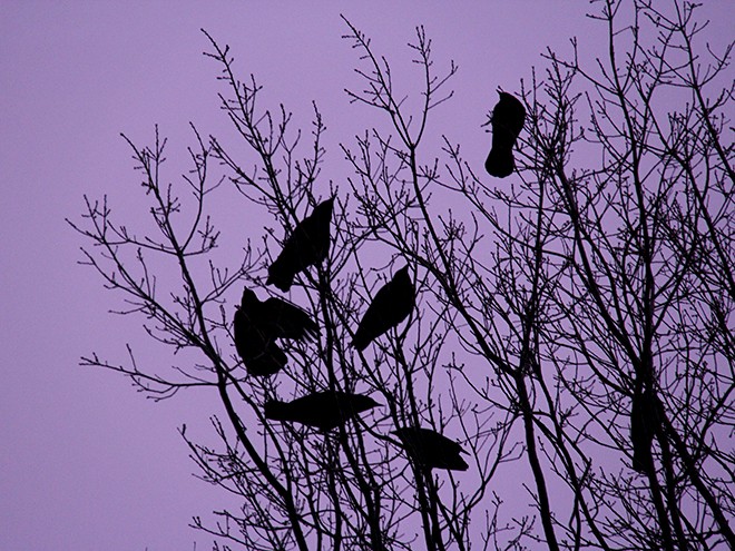 4Morning1