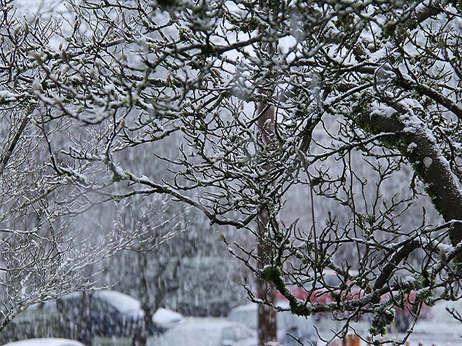20Snow14