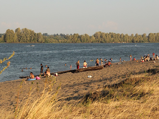 23Sauvie19