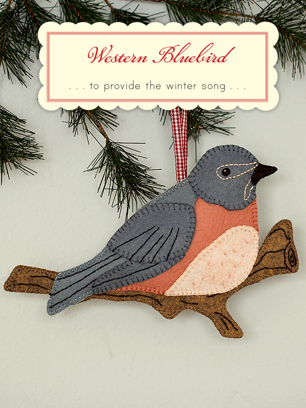 WesternBluebird1