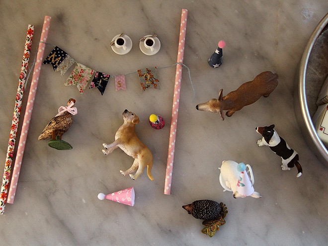 10Animals2