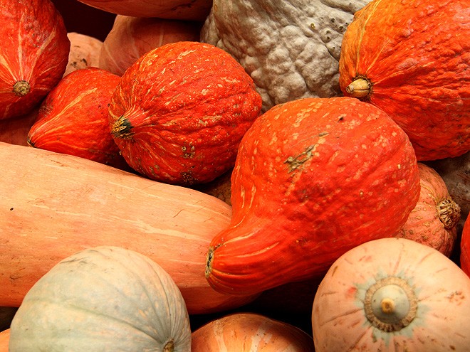 12Pumpkins38