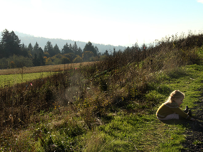 8Hike33