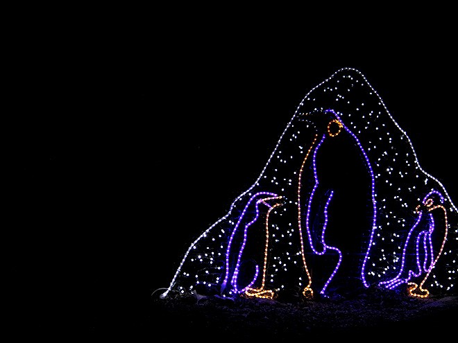 2Zoolights1