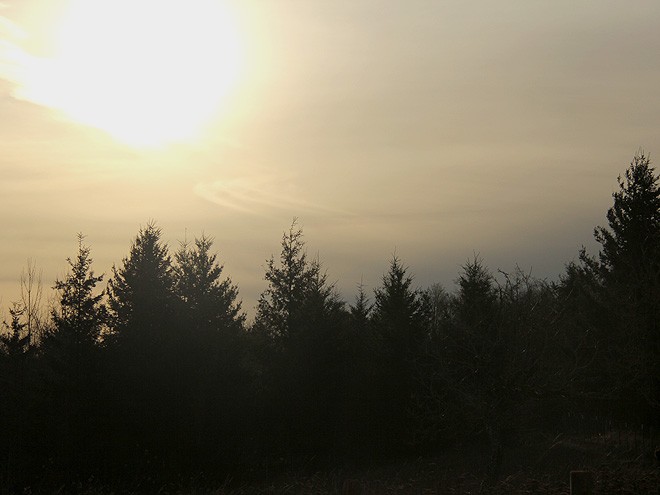 7Morning1