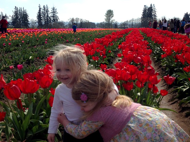 27Tulips20
