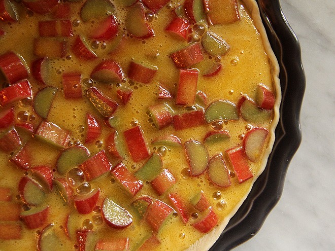 31Rhubarb2