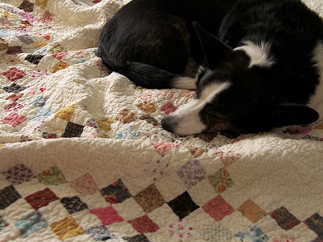 24Quilt3
