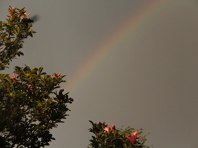 26Rainbow2