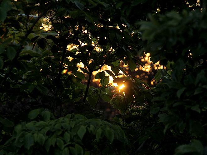 8Sunrise1