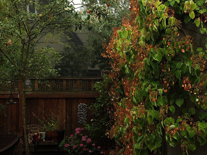 26Rain3 26Rain3