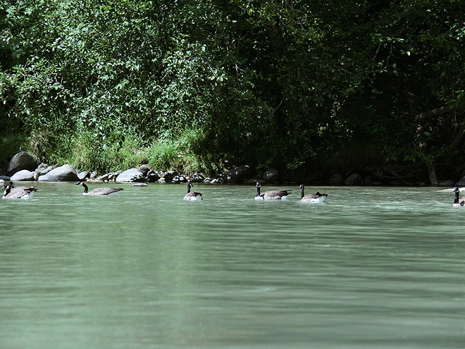1River5