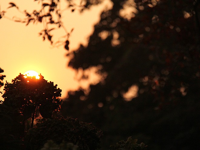 22Evening5 22Evening5