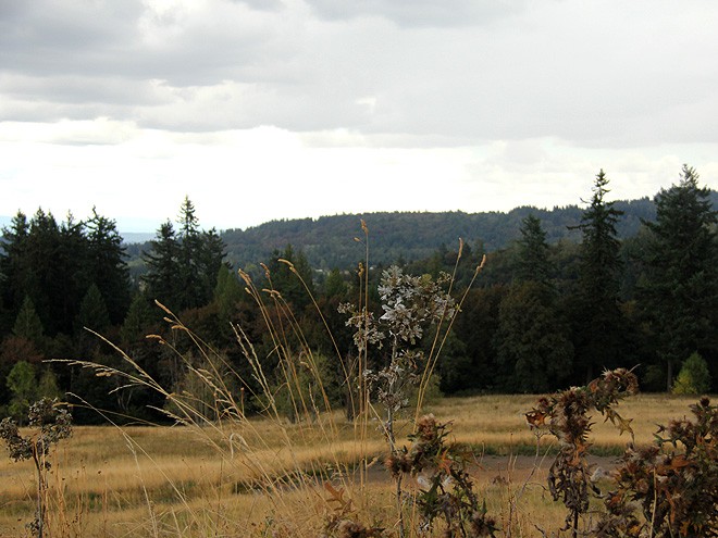5Butte36