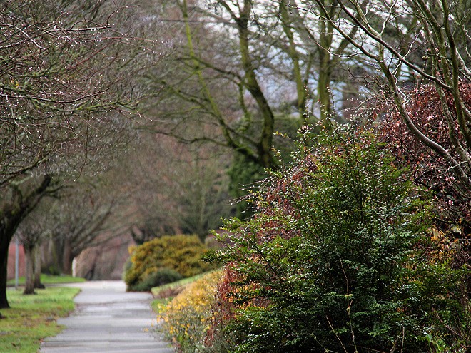16Walk2