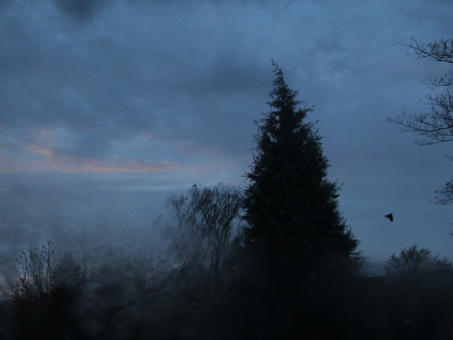 21Morning4