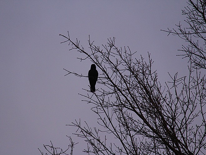 5Morning3