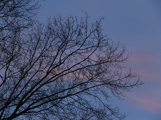 26Evening11